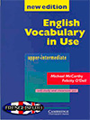 vocabulary in use key