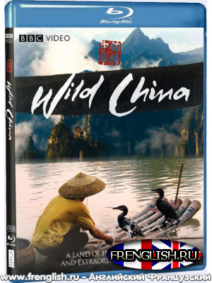 BBC Video - Wild China